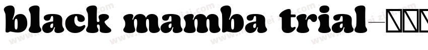 black mamba trial字体转换